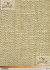 Spring8203